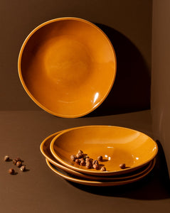 Stoneware Dinner Plate | Dadasi 10.2" (Set of 4)